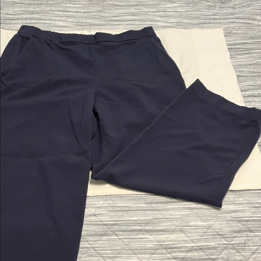 Briggs New York Women’s Pull On Pants   Inseam 24”